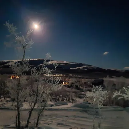 Naali Moekki * Kilpisjärvi