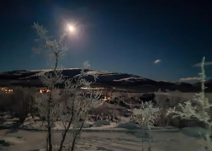 Naali Moekki * Kilpisjärvi